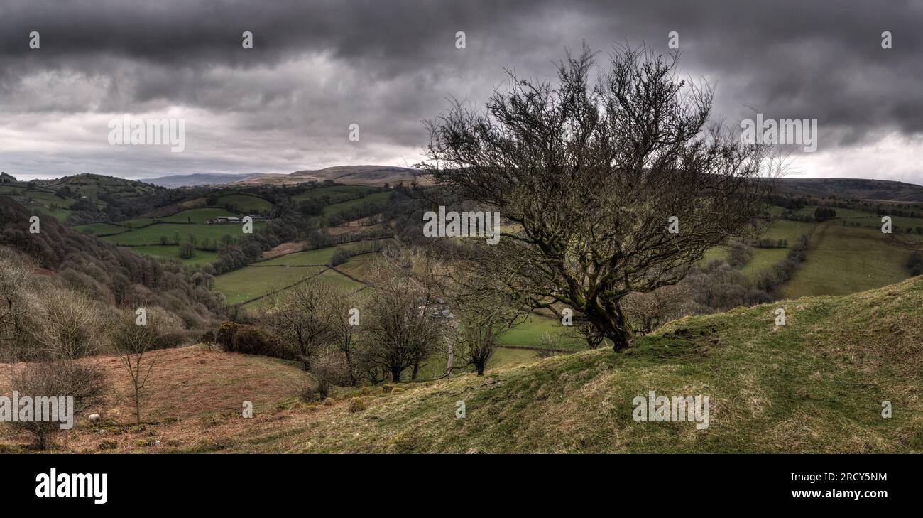 Blick auf und von Carreg Cennen Castle, Carmarthenshire, Wales Stockfoto