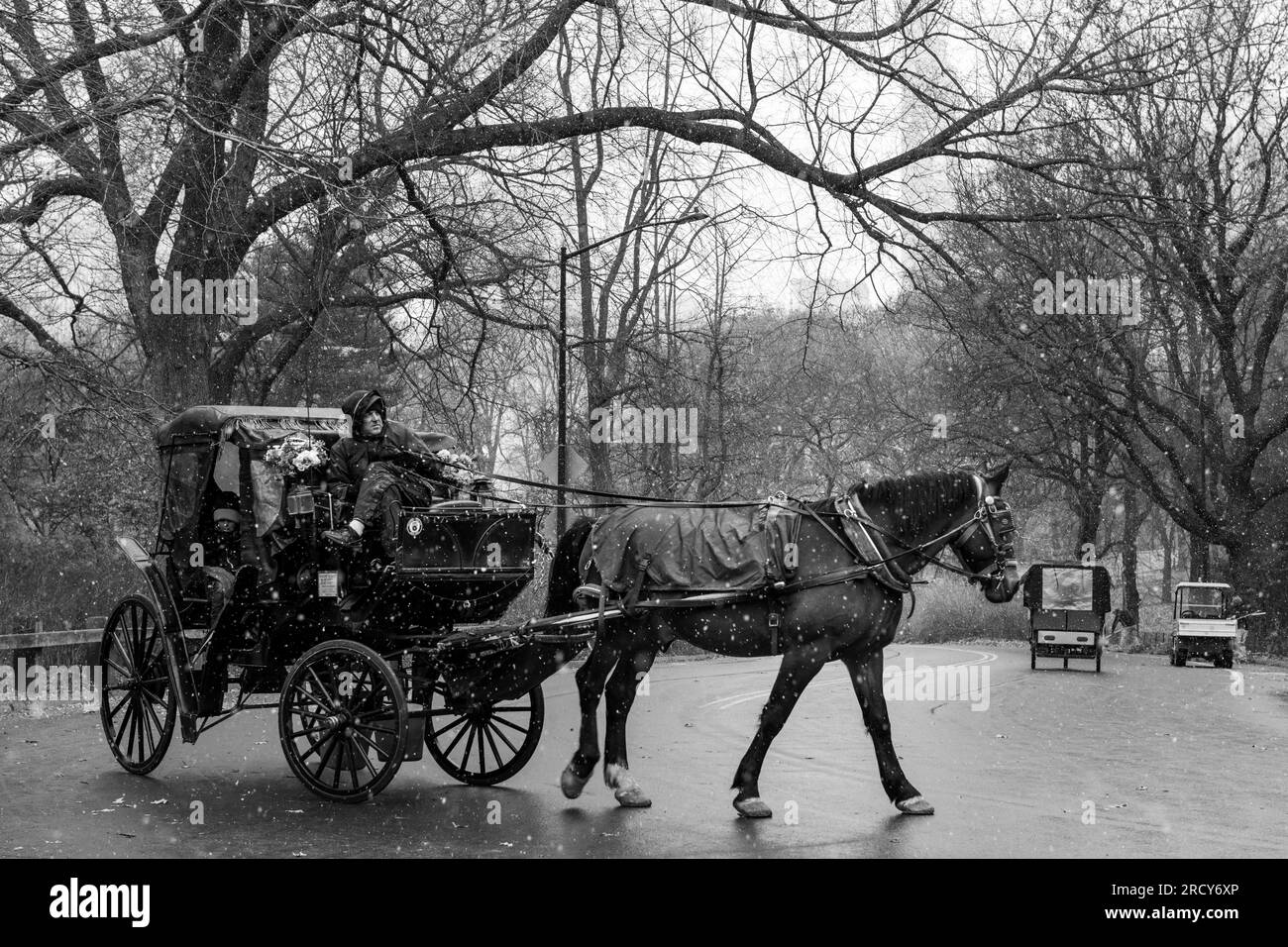Pferdekutsche, die Touristen durch den Central Park bei einem Schneefall bringt Stockfoto