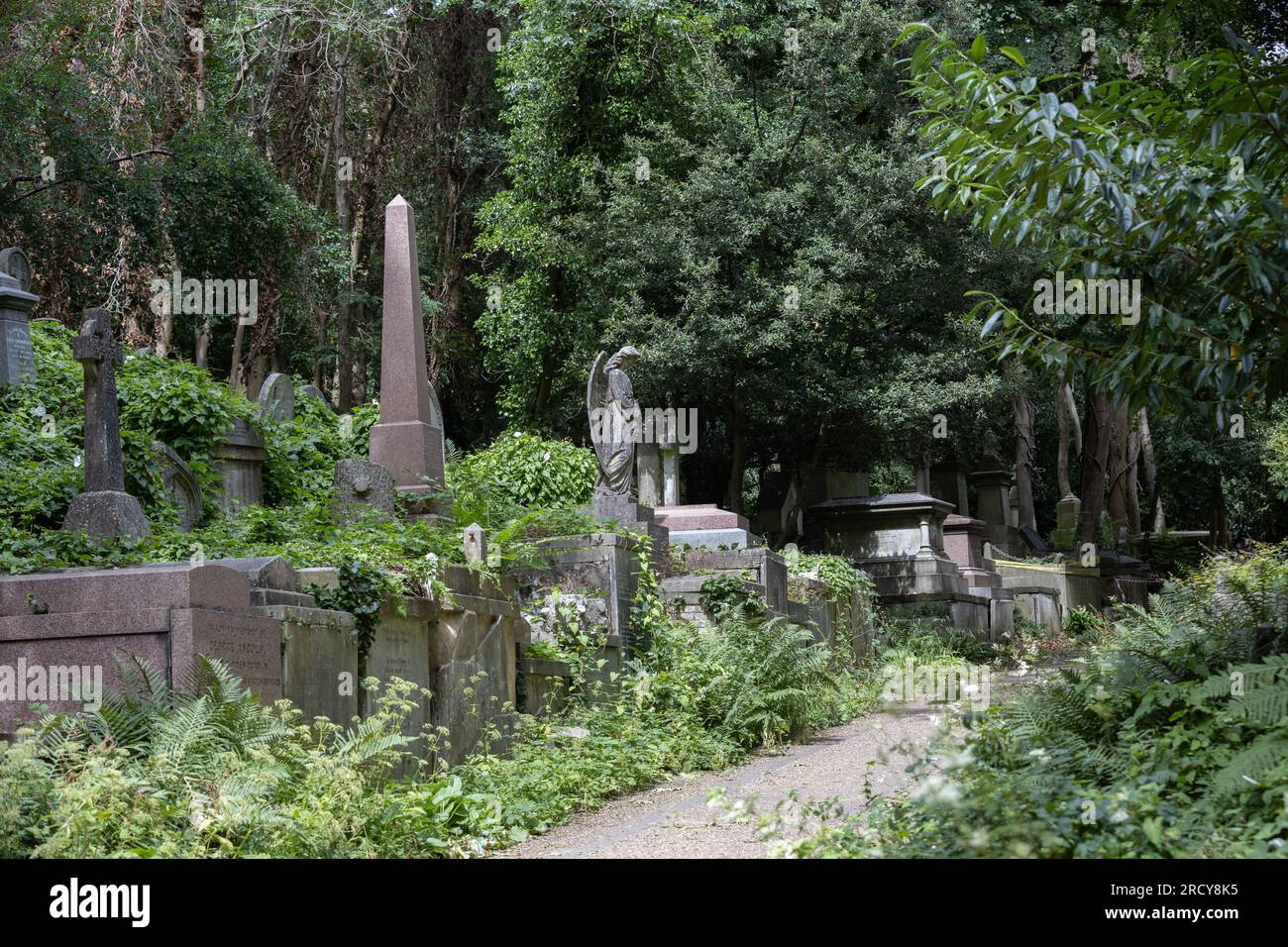 London, UK-16. Juli 2023: Highgate Cemetery West in London, England. Stockfoto