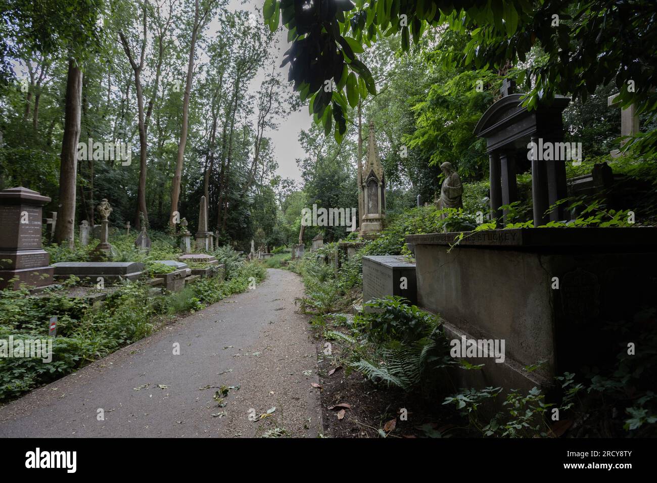 London, UK-16. Juli 2023: Highgate Cemetery West in London, England. Stockfoto