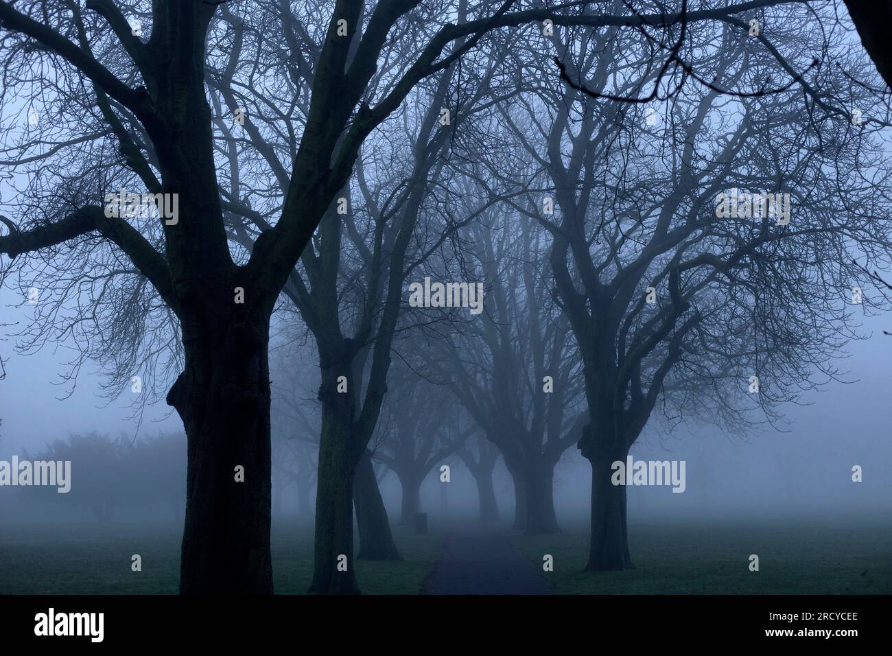 Ein dichter Nebel umhüllt einen Park in Ilford, East London, am Morgen. Stockfoto