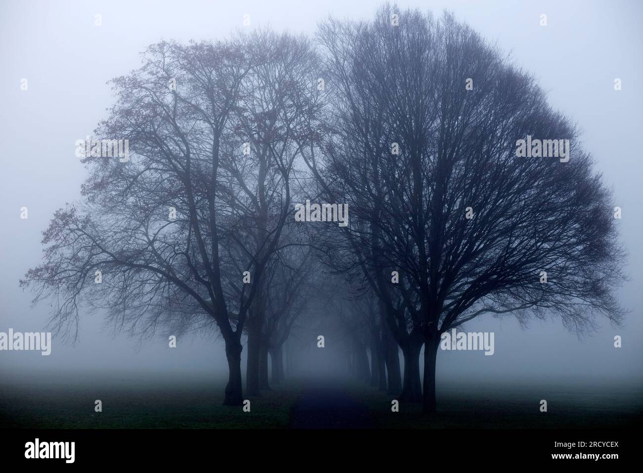 Ein dichter Nebel umhüllt einen Park in Ilford, East London, am Morgen. Stockfoto