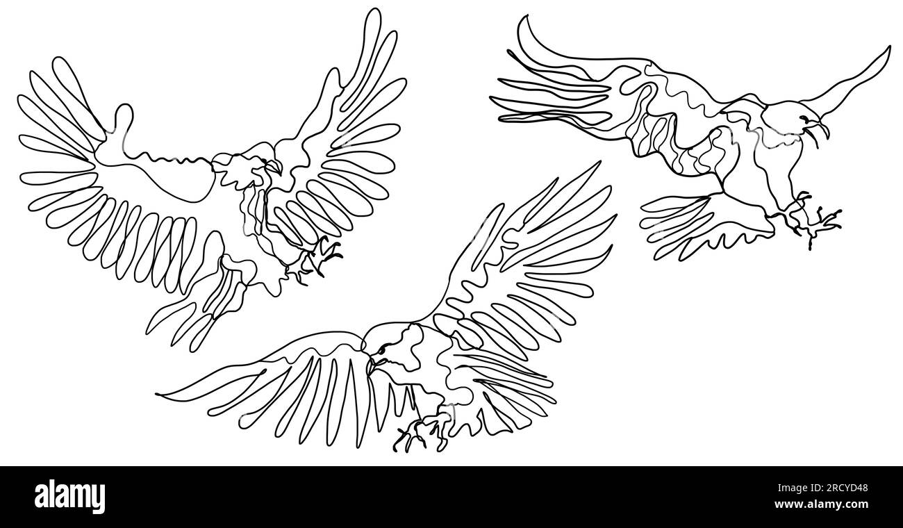 Set of Line Art Raptor Eagle Birds Drawing, Minimal One Line Illustration von Adler fliegt bereit zur Jagd Stockfoto