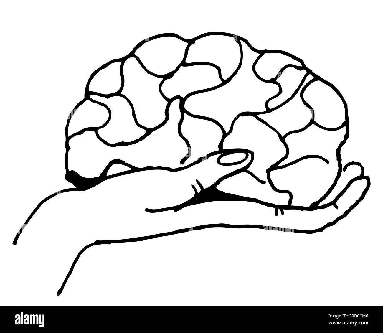 Halte das Gehirn in der Hand Schwarzweiß-Grafiken, Entwicklungspsychologie, Symbol, Logo, Vektor, Stockfoto