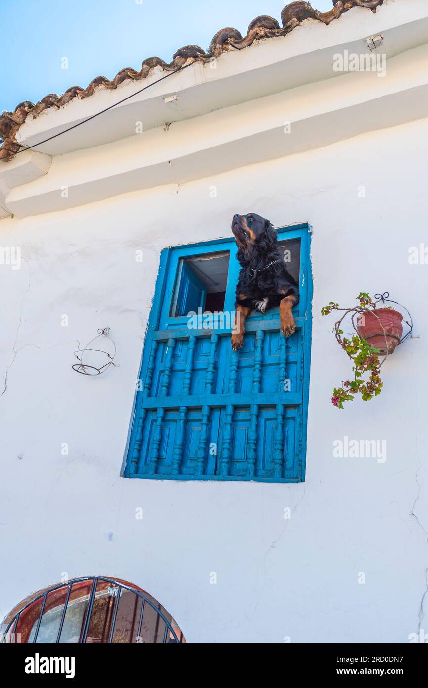 Fenster nach Hause in Cusco, Peru. Stockfoto