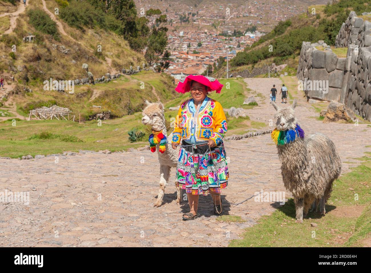 Indigene Frau mit Alpakas in Cusco Peru. Stockfoto