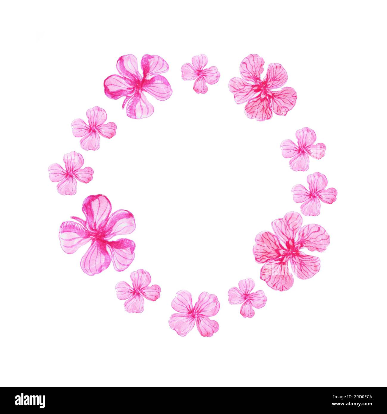 Ovaler Rahmen in Aquarellfarben mit pinkfarbenen fünf-Blatt-Blumen auf weißem Hintergrund Stockfoto