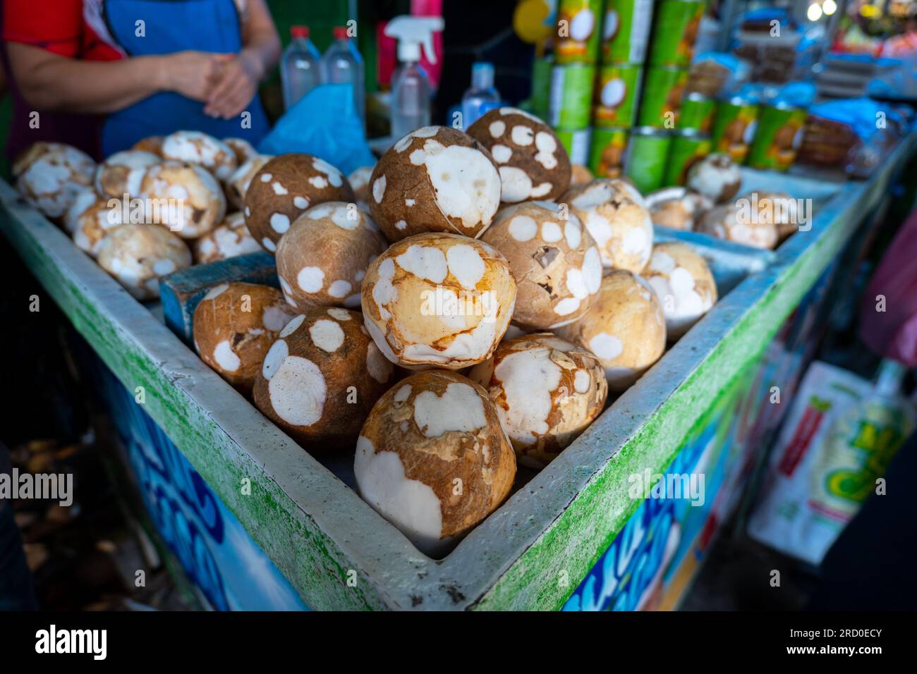 Tegucigalpa, Francisco Morazan, Honduras - 16. Dezember 2022: Rohe Kokosnüsse in einer grünen und blauen Box von einem Arbeiter in der Schürze im farbenfrohen Markt „Mercado Ma Stockfoto