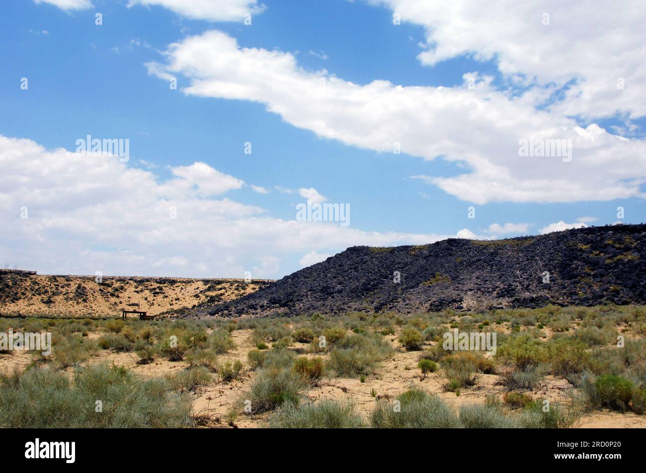 In Boca Negra Canyon, die Petroglyph National Monument, das sieht ziemlich unfruchtbar. Es ist nur, wenn Sie sich in den Basalt Felsen, die petrog erhalten Stockfoto