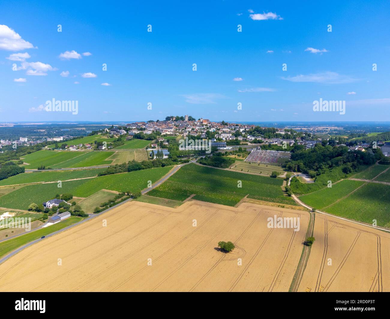 Weinberge der Appellation Sancerre, Herstellung von trockenem Weißwein aus der traube sauvignon Blanc, die auf Hügeln am linken Ufer des Flusses Loire auf differen angebaut wird Stockfoto