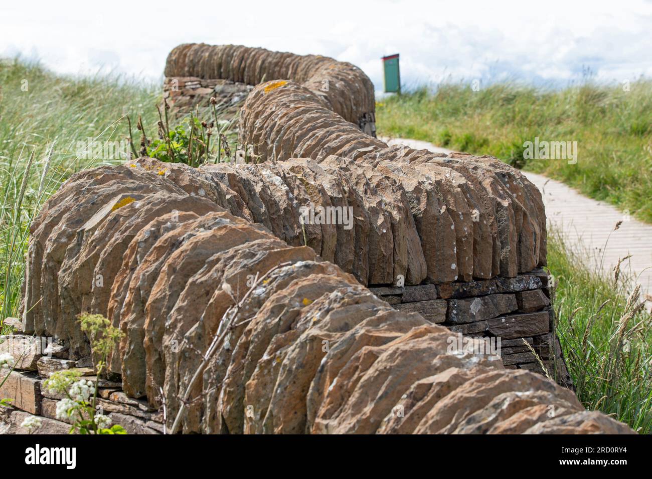 Dunnet Bay, Caithness, Schottland, 2023. Juli Nahaufnahme einer winzigen Mauer Stockfoto