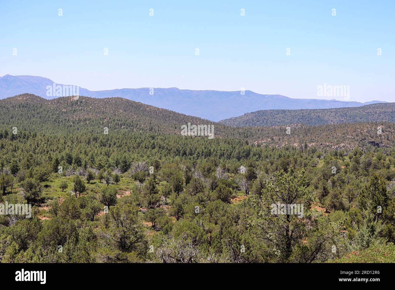 Blick auf die Berge vom Pine Loop Trail in Pine, Arizona. Stockfoto