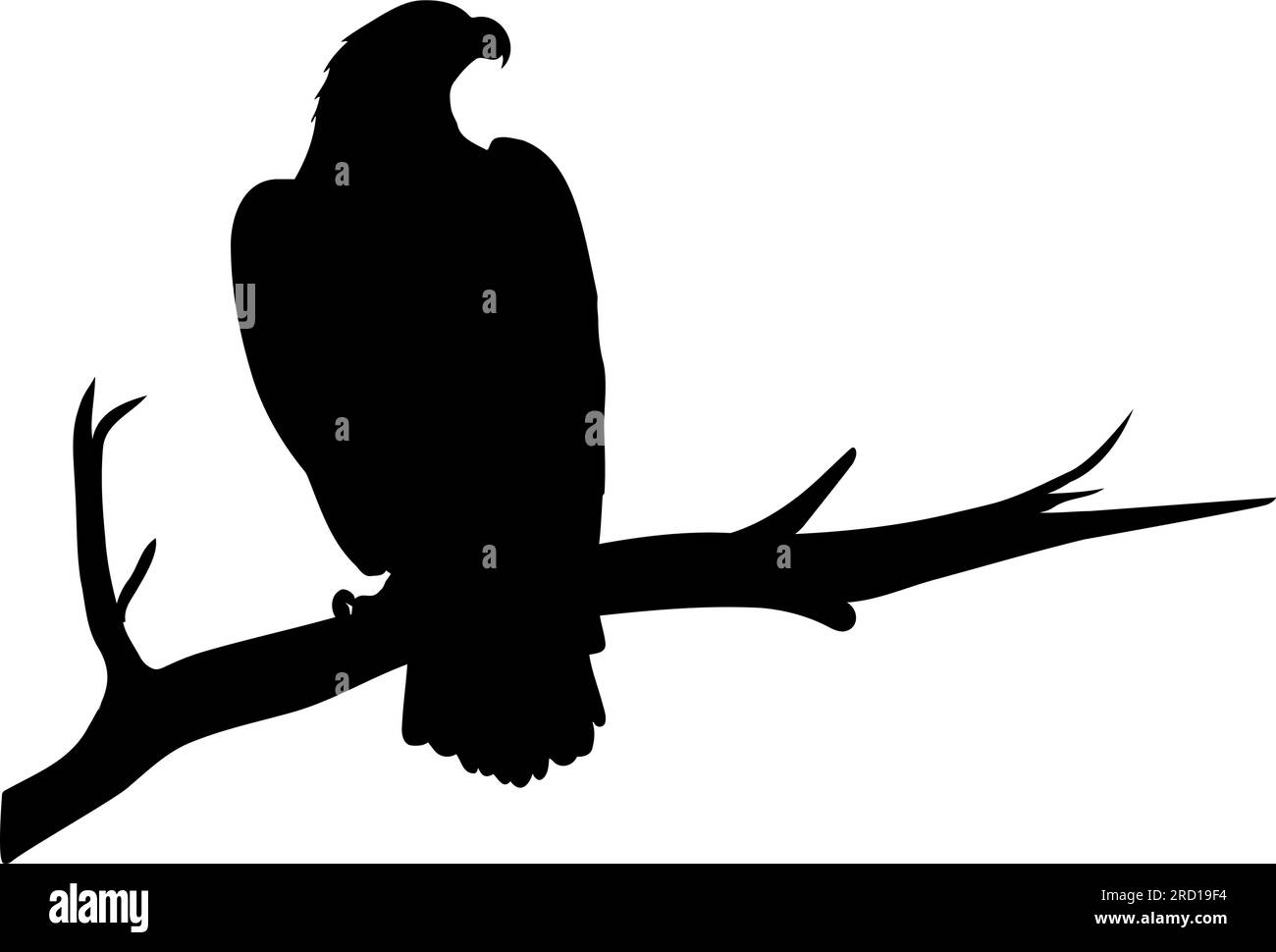 Silhouette des Adlers am Baumzweig isoliert auf weißem Hintergrund. Vektordarstellung Stock Vektor