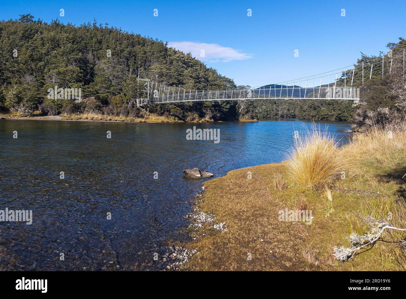 Der sehr abgelegene und isolierte South Mavora Lake, umgeben von üppigen, dichten einheimischen Wäldern im ländlichen Südland Neuseelands Stockfoto