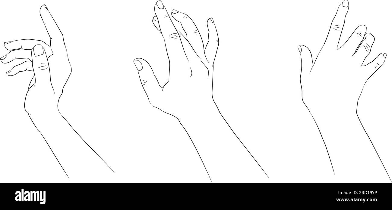 Handgezeichnete Hände isoliert auf weißem Hintergrund. Handgezeichnete lineare Skizze mit weiblichen Händen. Schwarze Silhouette auf weißem Hintergrund. Vektordarstellung Stock Vektor