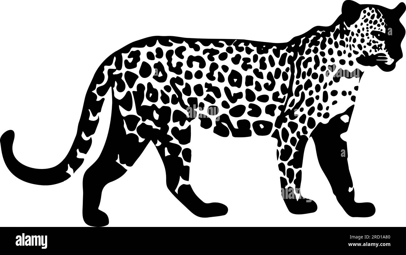 Leopardensilhouette isoliert auf weißem Hintergrund. Vektordarstellung Stock Vektor