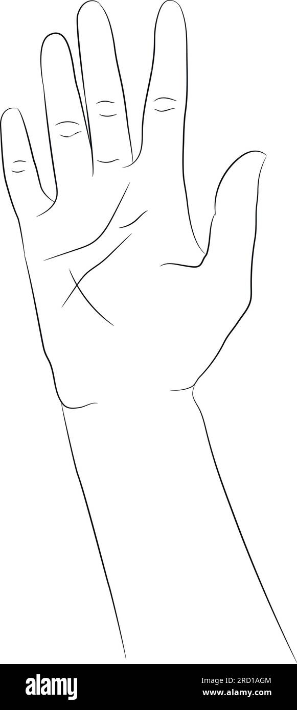 Handgezeichnete Hand isoliert auf weißem Hintergrund. Handgezeichnete lineare Skizze einer weiblichen Hand. Schwarze Silhouette auf weißem Hintergrund. Vektordarstellung Stock Vektor