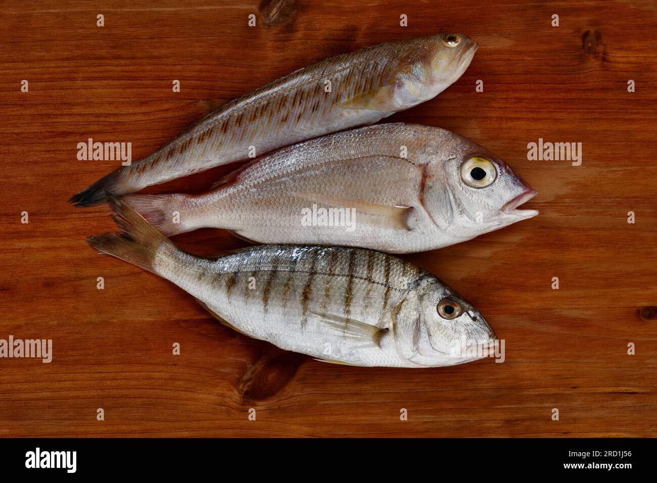 Ungekochter gewöhnlicher pandora-Fisch, gestreifte Meerbrasse und grüner Seeteufel auf Holztisch, mediterraner Fisch mit zartem Fleisch, Stockfoto