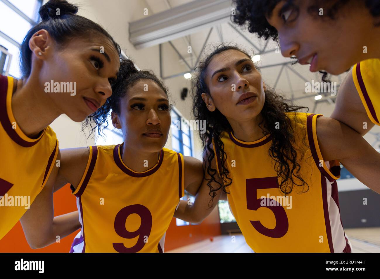 Fokussierte Basketballspielerinnen begrüßen und besprechen den Spielplan im Fitnessstudio Stockfoto