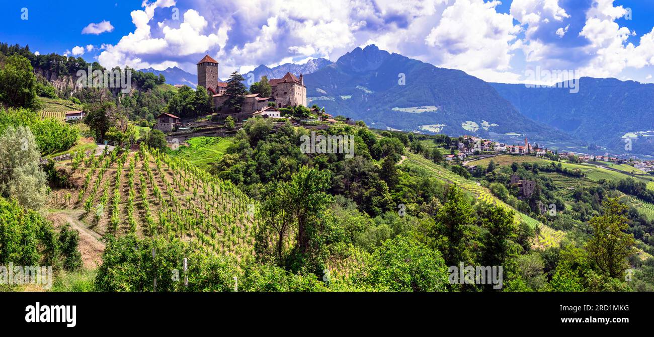 Mittelalterliche Burgen Italiens - majestätisches Schloss Tirolo in Merano. Umgeben von Alpenbergen und Weinbergen. Provinz Bozen, Italien Stockfoto