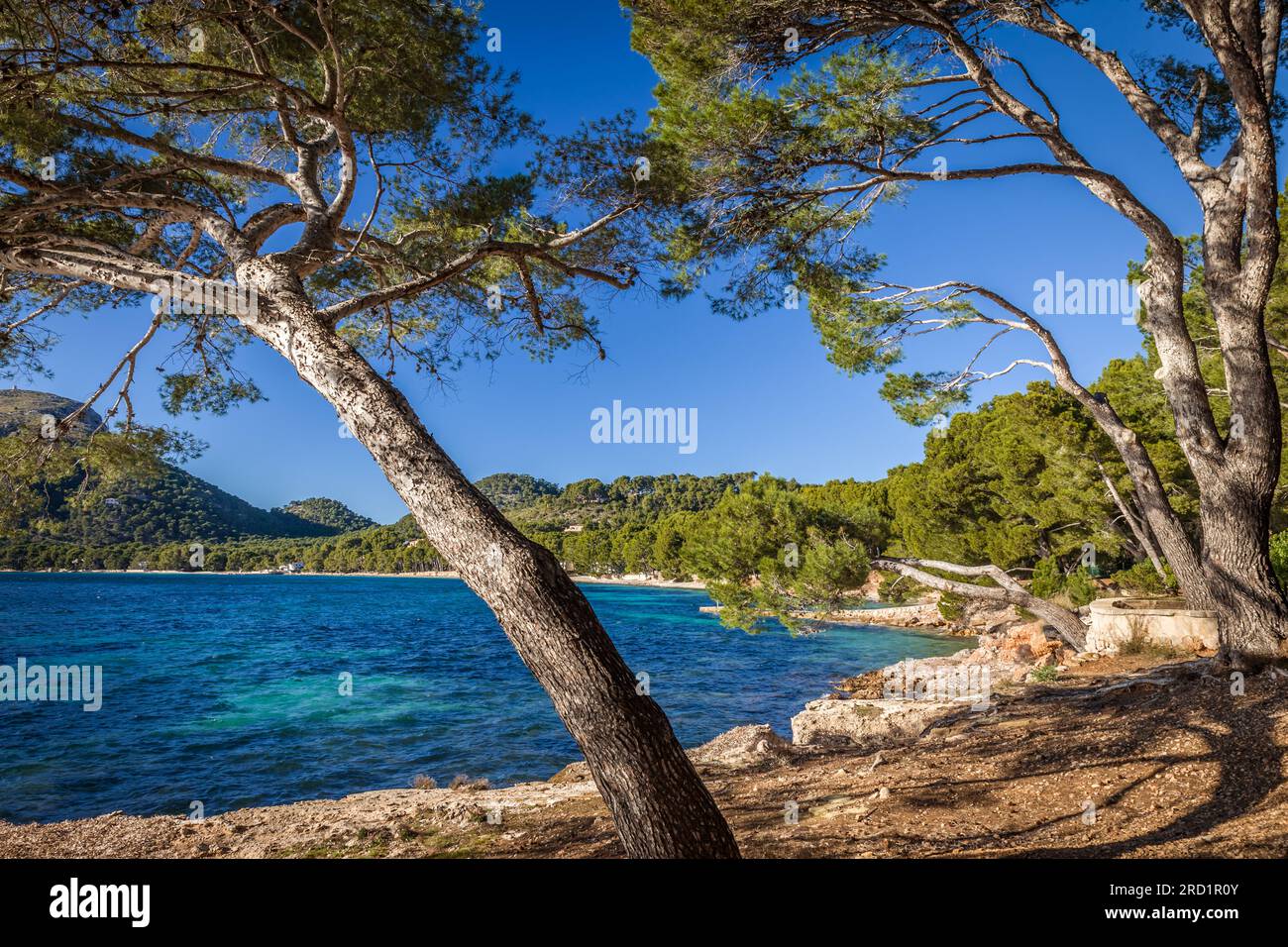 Geografie/Reise, Spanien, Mallorca, Hafen von Pollenca, Strand Platja de Formentor, Mallorca, ZUSÄTZLICHE-RECHTE-FREIGABE-INFO-NICHT-VERFÜGBAR Stockfoto