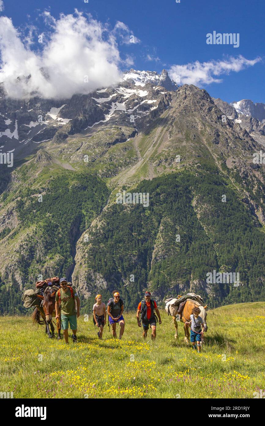 HAUTES-ALPES (05), ECRINS-NATIONALPARK, ROMANCHE-TAL, VILLAR D'ARENE, BEGLEITETE FAMILIENWANDERUNG MIT RUDELTIEREN GEGENÜBER DEN MEIJE-GLETSCHERN Stockfoto