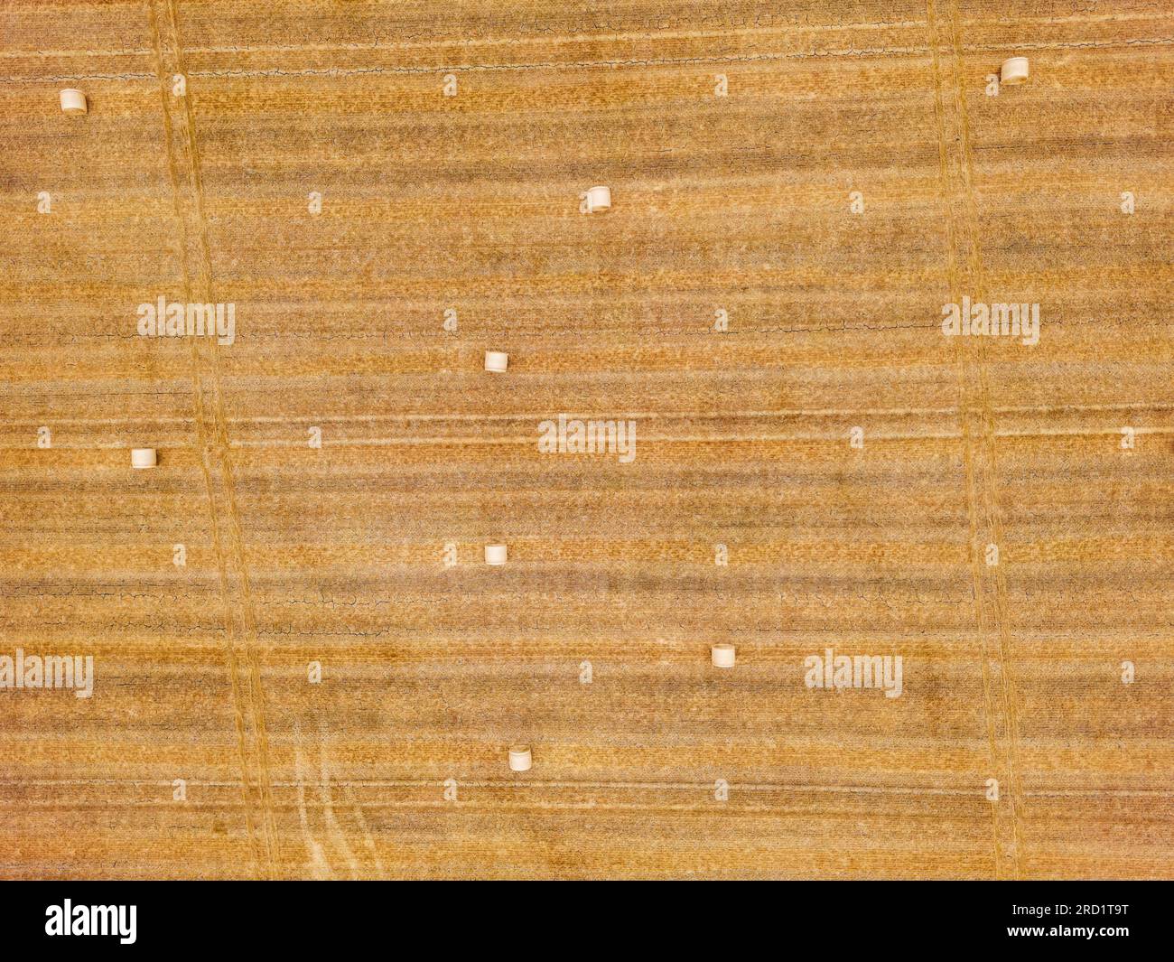 Viele Strohballen auf einem gemähten Feld im heißen Sommer, wenn es trocken ist, Drohne direkt von oben, Deutschland Stockfoto