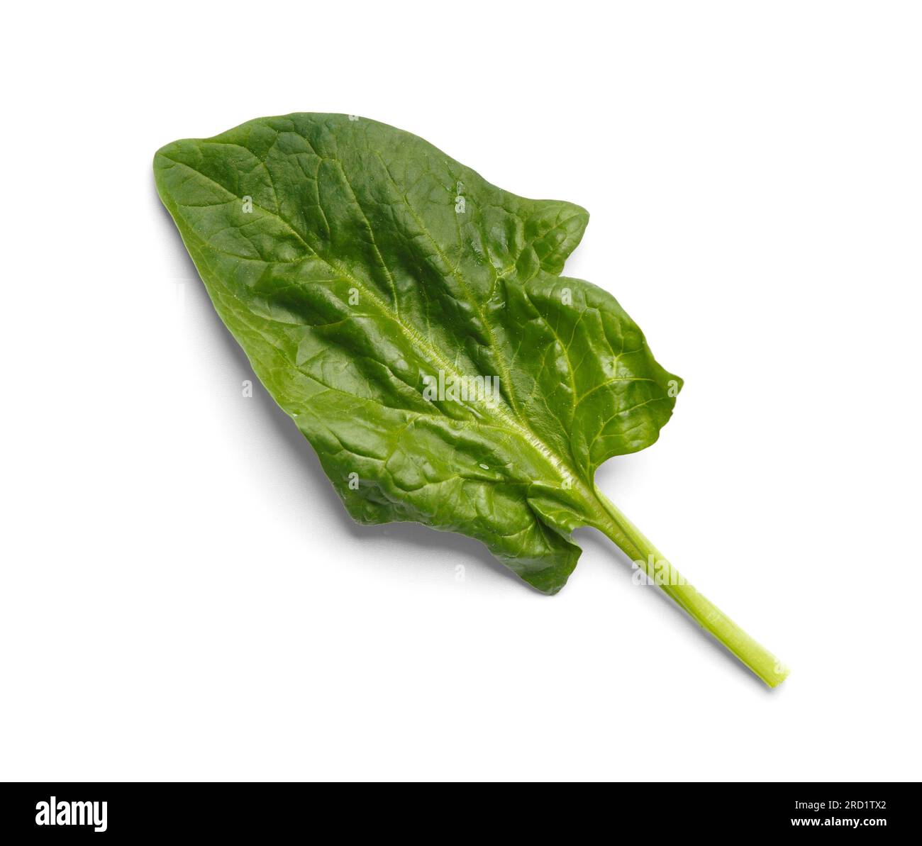Blatt aus frischem grünen organischen Spinat auf weißem Hintergrund, Nahaufnahme, Draufsicht. Stockfoto