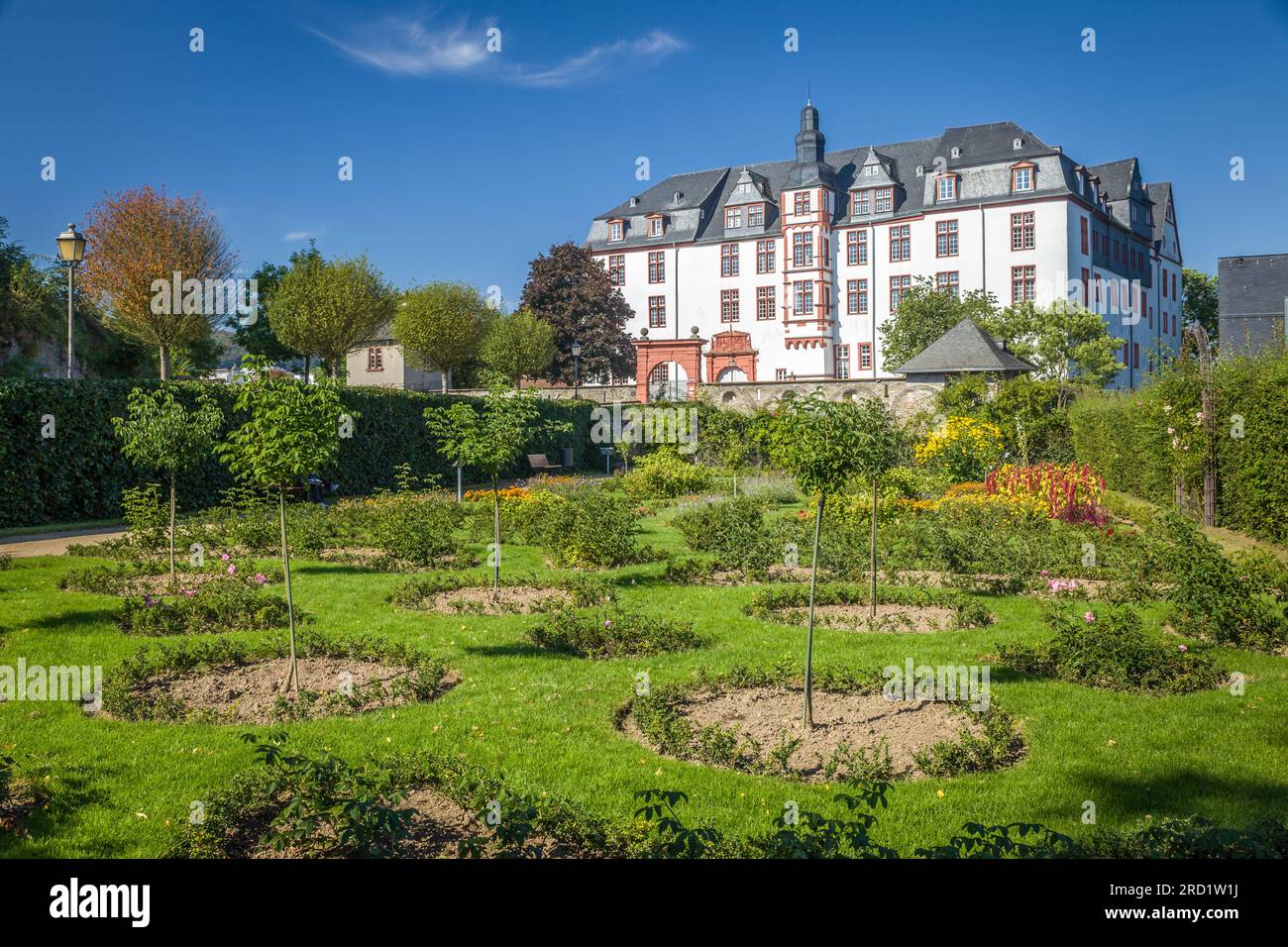 Geografie / Reise, Deutschland, Hessen, Idstein, Rosengarten vor dem Königspalast Idstein, ZUSÄTZLICHE-RECHTE-FREIGABE-INFO-NICHT-VERFÜGBAR Stockfoto