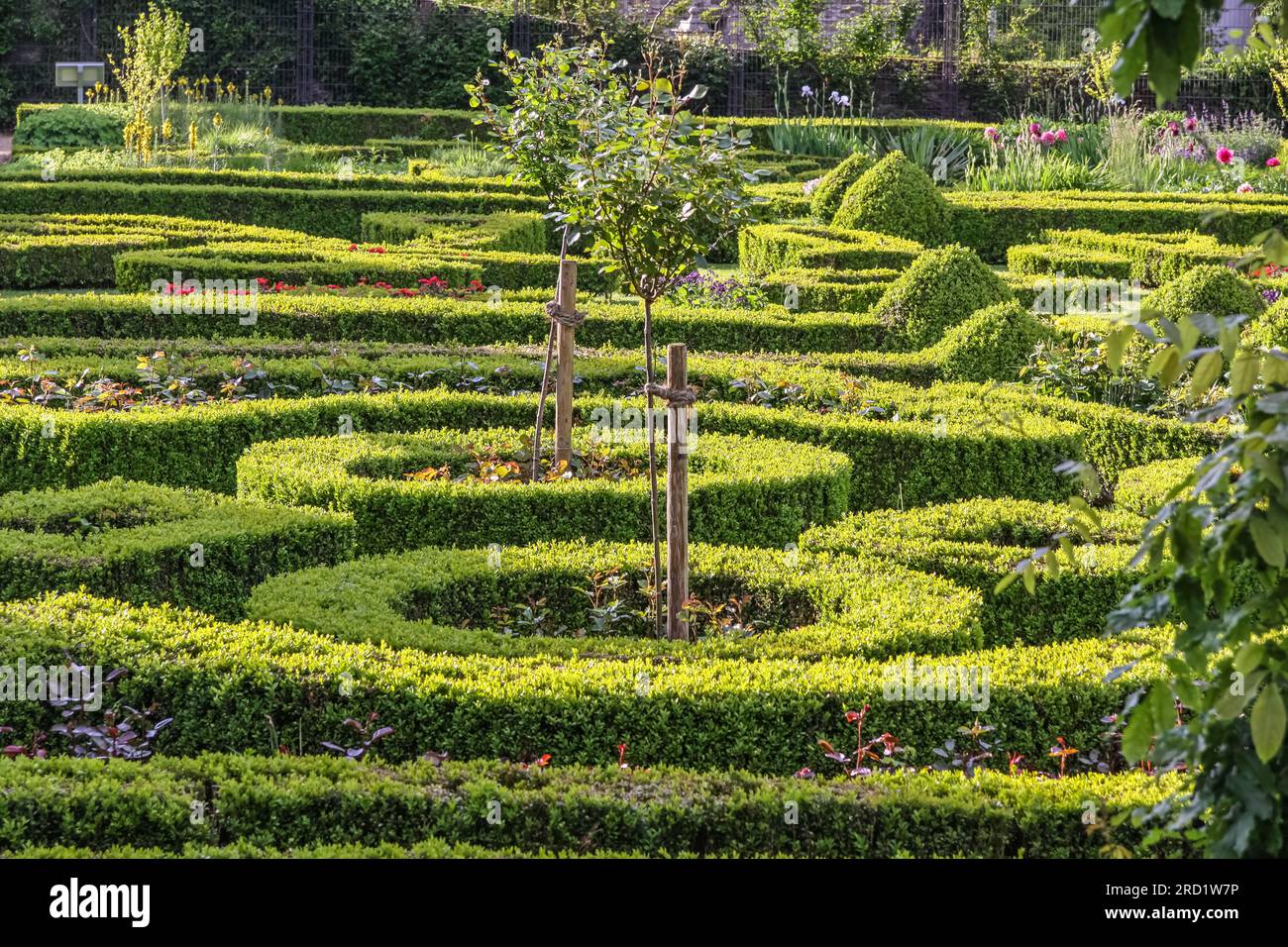 Geografie / Reise, Deutschland, Hessen, Idstein, Rosengarten vor dem Königspalast Idstein, ZUSÄTZLICHE-RECHTE-FREIGABE-INFO-NICHT-VERFÜGBAR Stockfoto