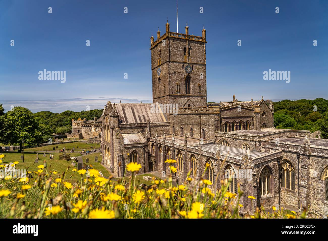 Kathedrale von St Davids, Wales, Großbritannien, Europa | St Davids Cathedral, Wales, Vereinigtes Königreich Großbritannien, Europa Stockfoto