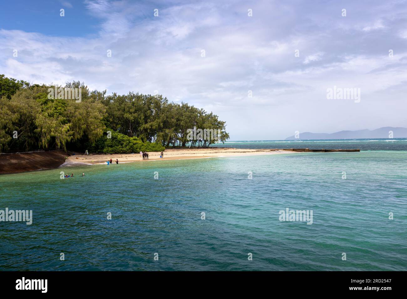 Pfad durch die Baumkronen von Green Island. Nord-Queensland. Stockfoto