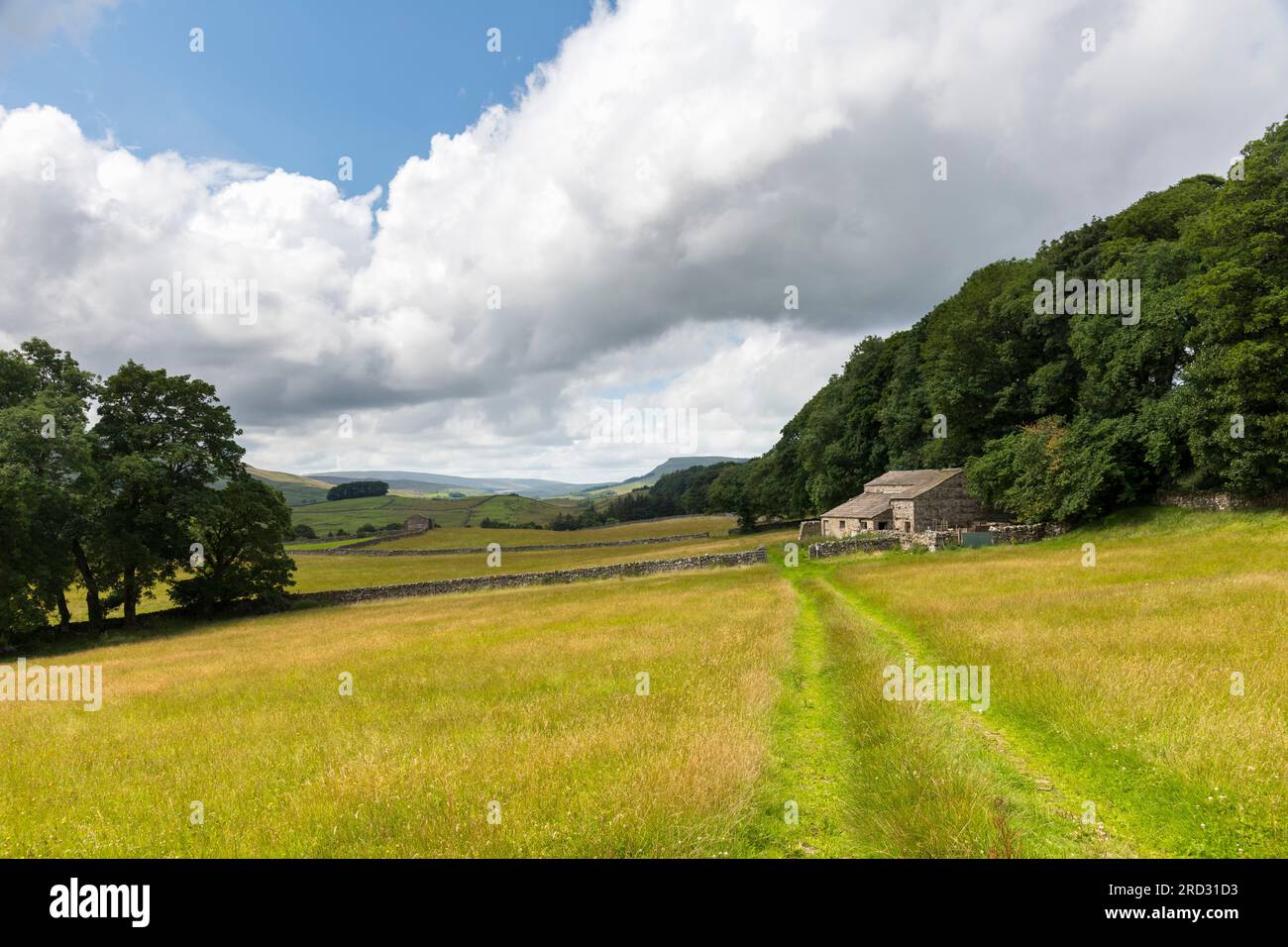 Landwirtschaftliche Felder und Scheunen, Wensleydale bei Hawes, Yorkshire Dales National Park, England Stockfoto