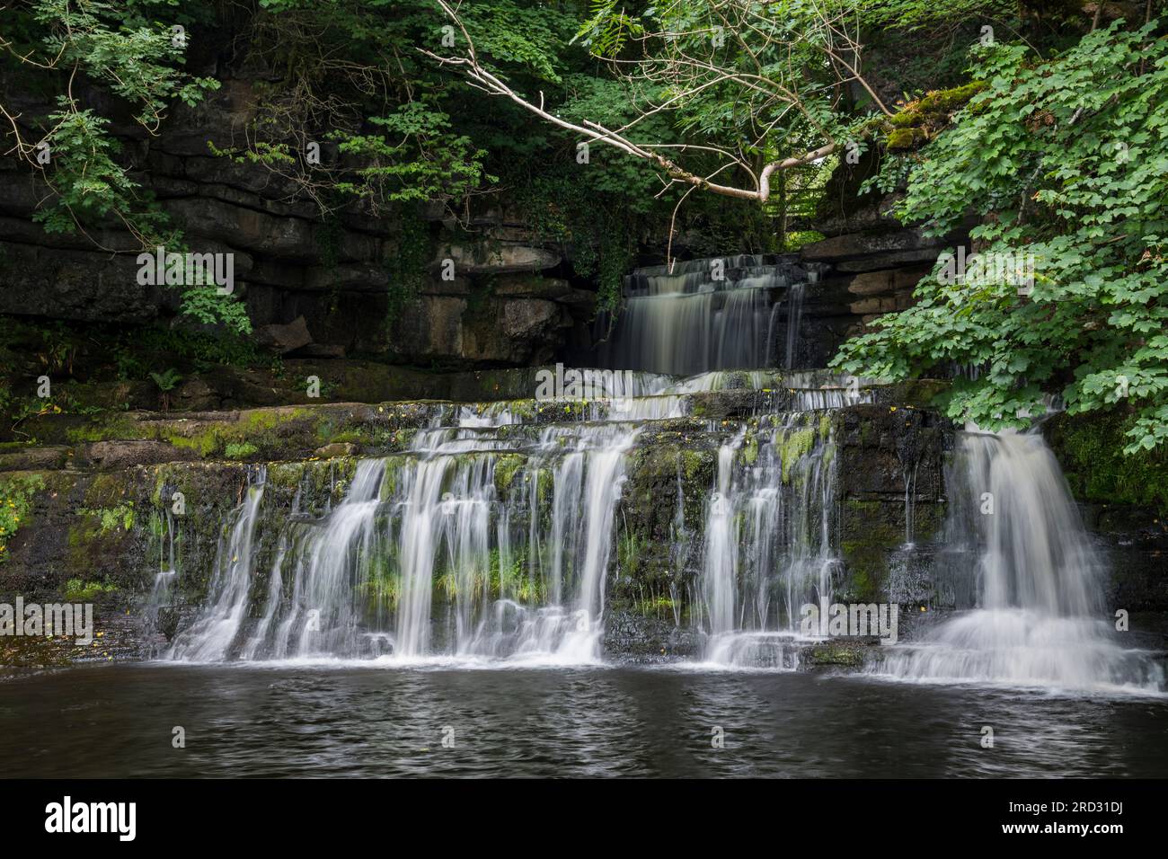 Cotter Force Wasserfall, in der Nähe von Hawes, Wensleydale, Yorkshire Dales National Park, England Stockfoto