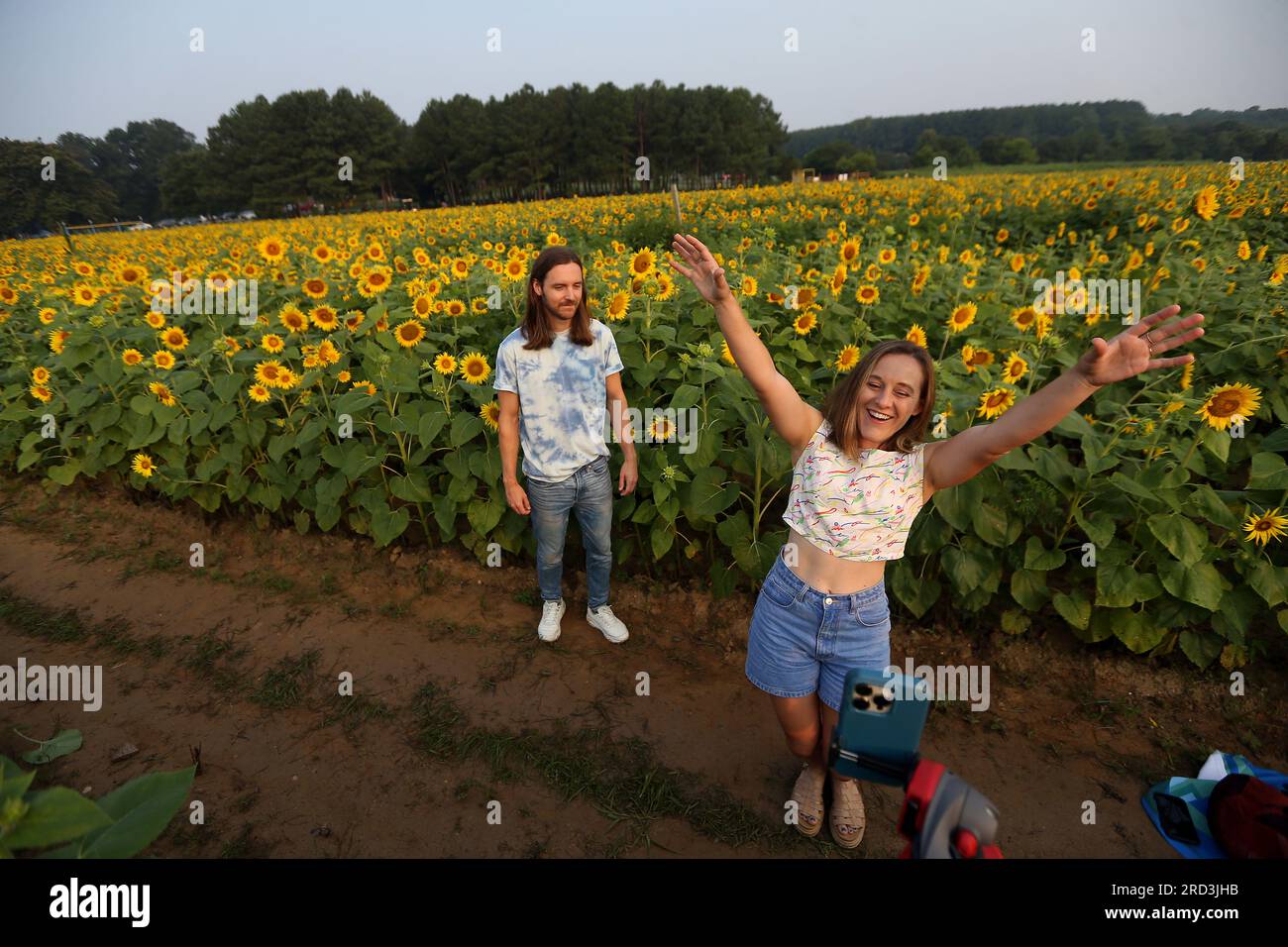 Raleigh, North Carolina, USA. 18. Juli 2023, Raleigh, North Carolina, USA: Auf einem Acker Sonnenblumen können JAMIE ROWEN und HANNAH ROWEN tanzen und singen, während sie Videoinhalte für ihr neues Album aufnehmen, während die Sonnenblumen im Dorothea Dix Park in Raleigh, NC wieder in voller Blüte erstrahlen. Im Mai wurden fast 280.000 Samen von Hunters Select Peredovik gepflanzt. Kredit: ZUMA Press, Inc./Alamy Live News Stockfoto