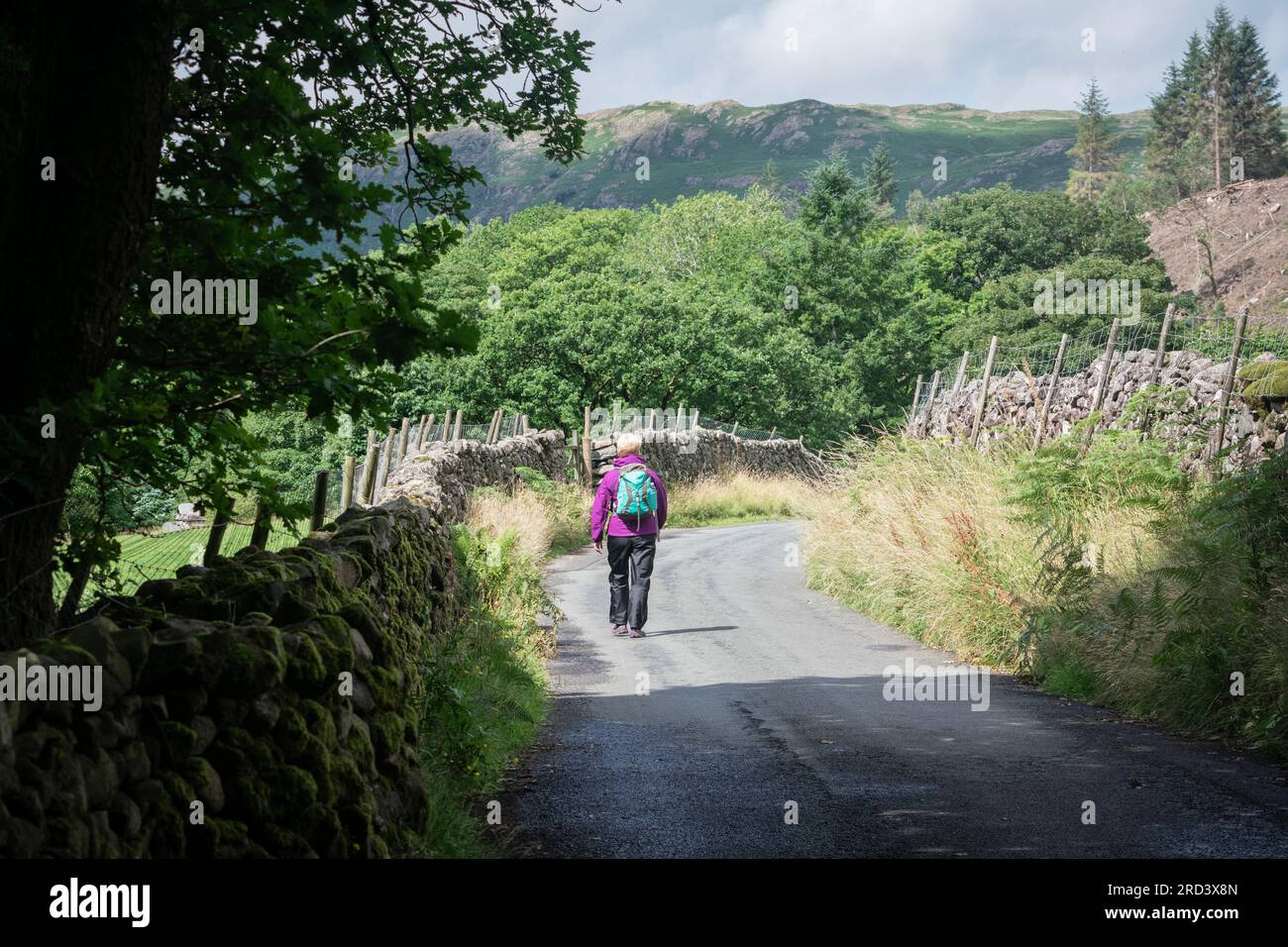Eine Frau, die in Eskdale, in der Nähe von Boot, Cumbria, Großbritannien, entlang einer Landstraße spaziert Stockfoto
