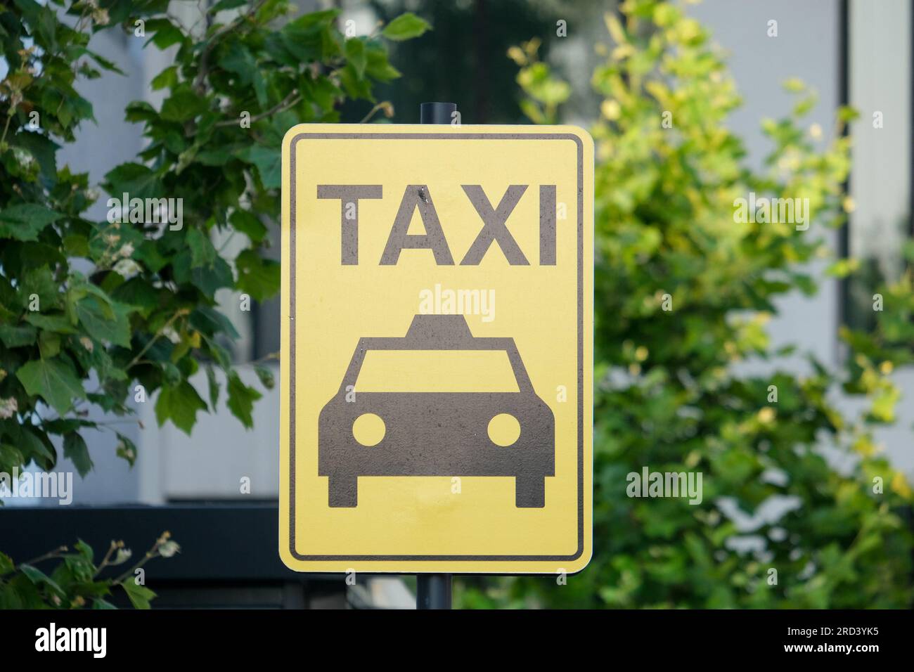 Taxistand am gelben Schild mit isoliertem Baumhintergrund. Stockfoto