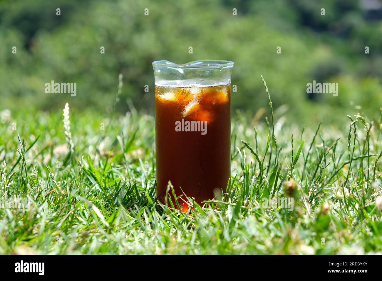 Schließen Sie eiskalter Kaffee auf dem Gras. Draußen eiskalter Kaffee zum Mitnehmen. Eiswürfel in kaltem Kaffee. Stockfoto
