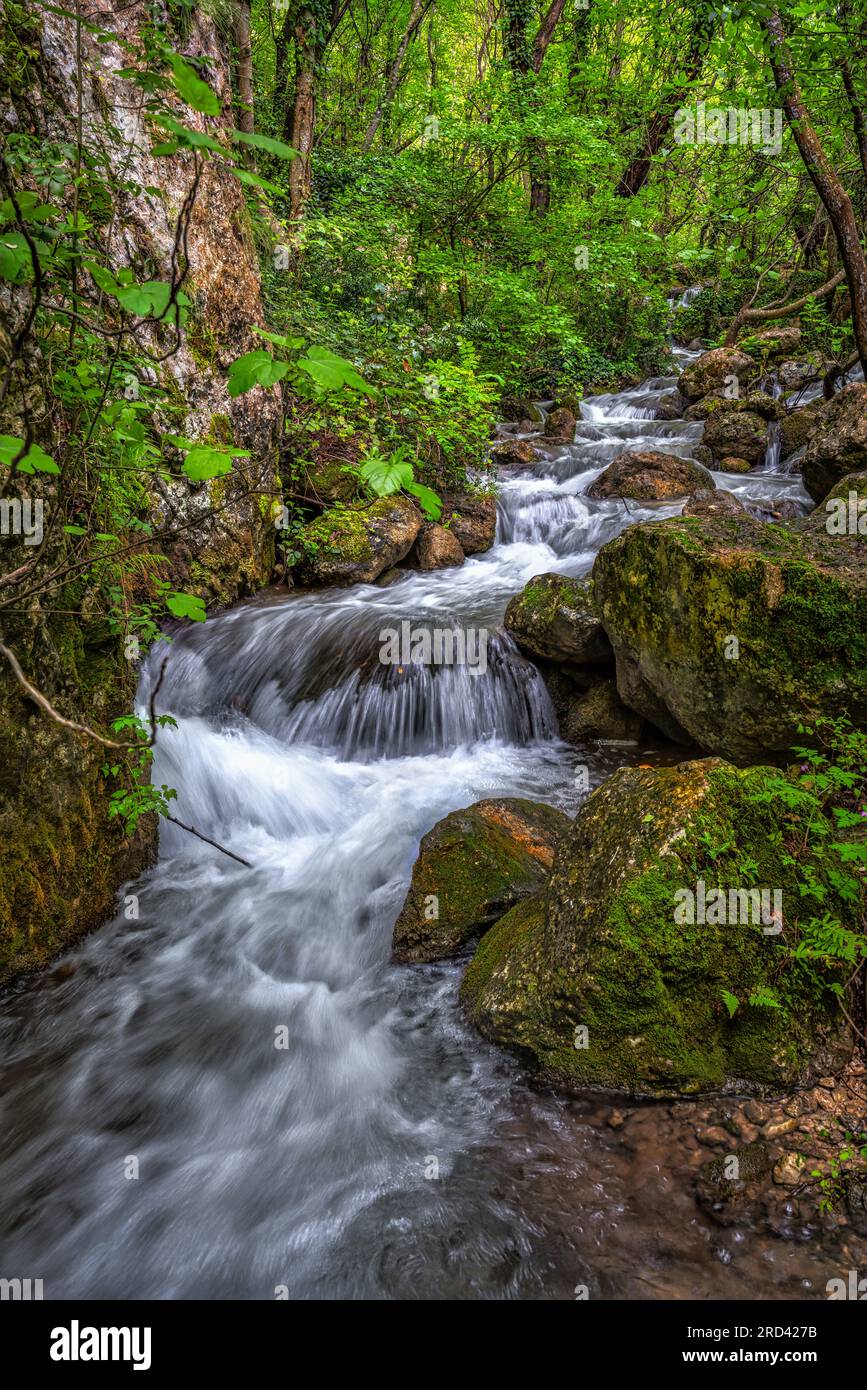 Der Fluss Sagittario fließt schnell zwischen Felsen und Wäldern in der Nähe der Cavuto Springs, Anversa, Abruzzen, Italien und Europa Stockfoto