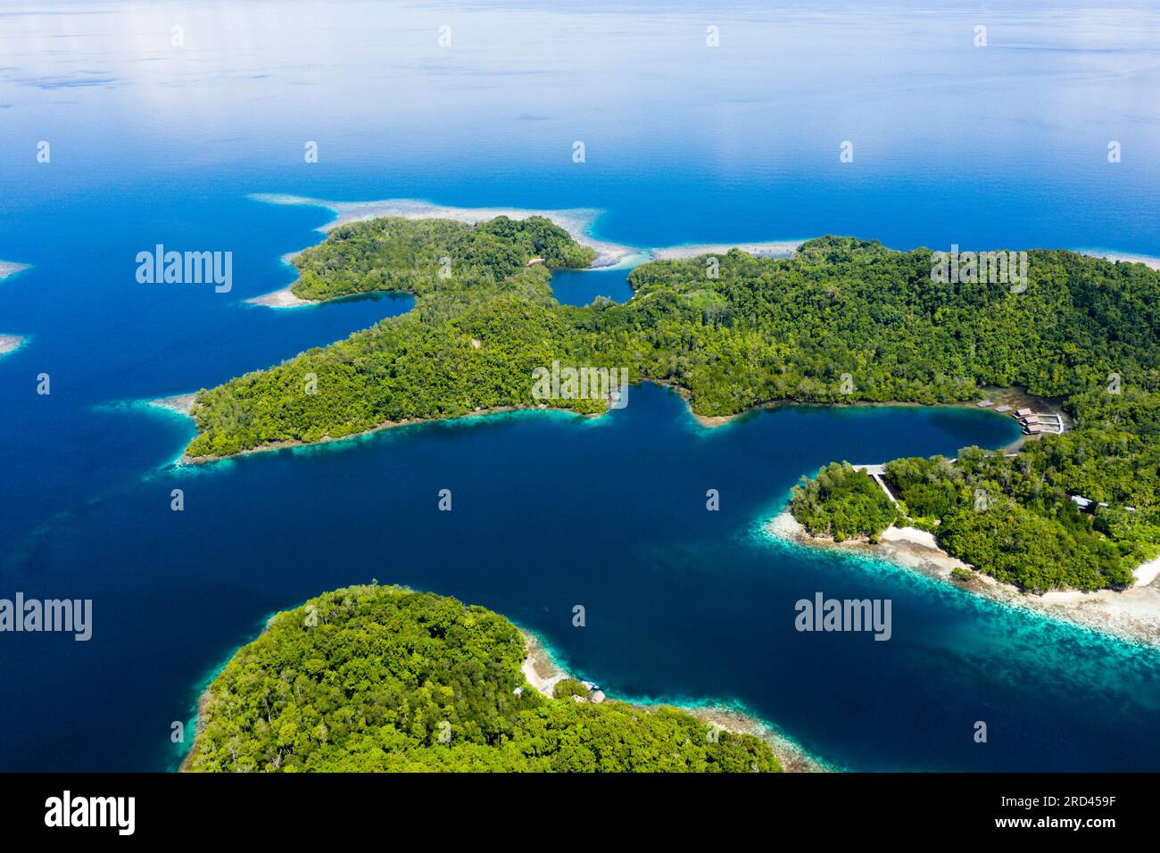 Blick aus der Vogelperspektive auf Janggelo Island, Raja Ampat, West Papua, Indonesien Stockfoto