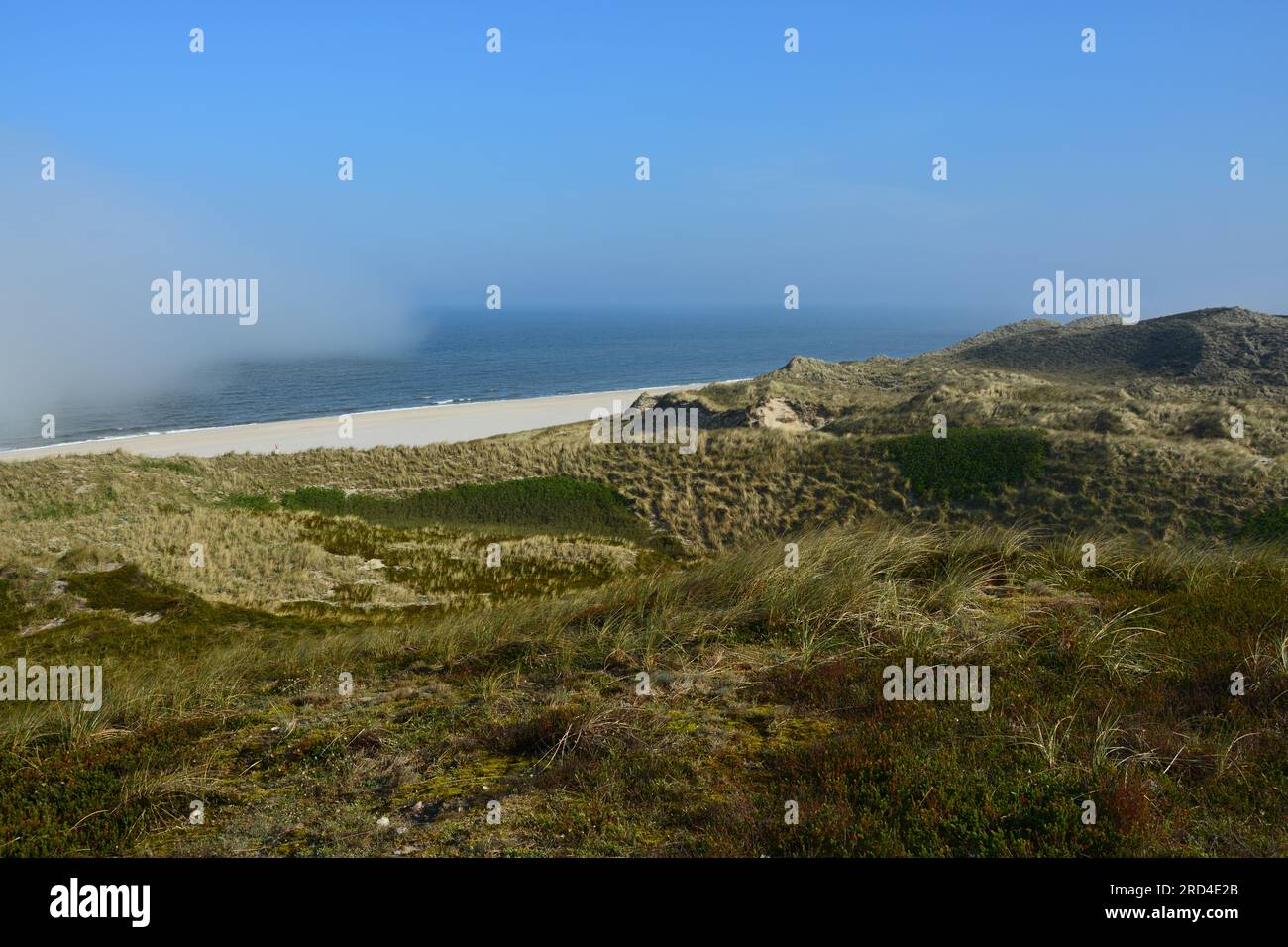 Ankommender Nebel auf Lister Weststrand, Sylt, Friesische Inseln, Deutschland Stockfoto