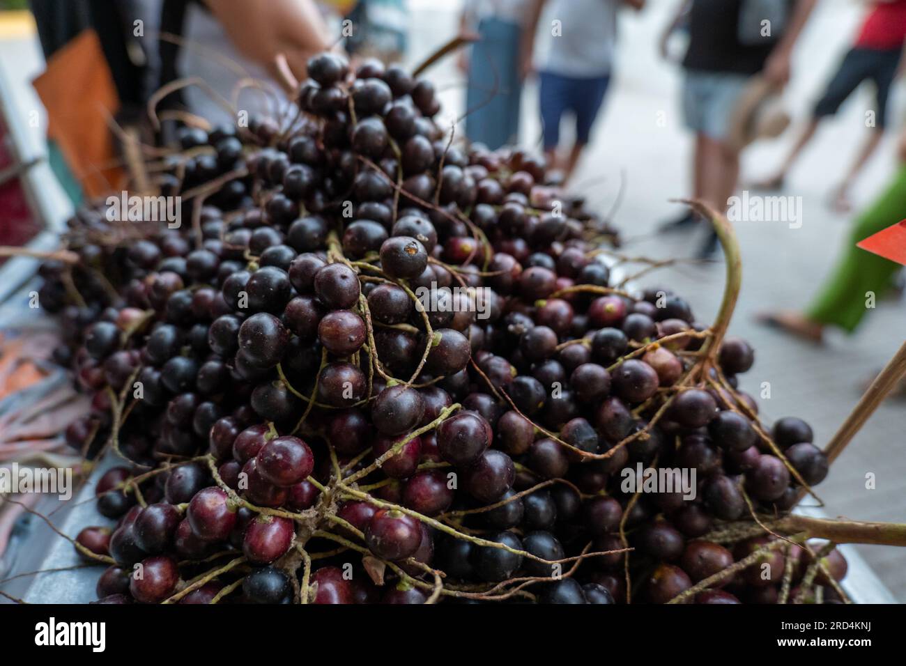 Nahaufnahme einer großen Menge Corozo-Früchte (Bactris guineensis), Eine dunkelrote Palmenfrucht, die als erfrischende Säfte verwendet wird Stockfoto