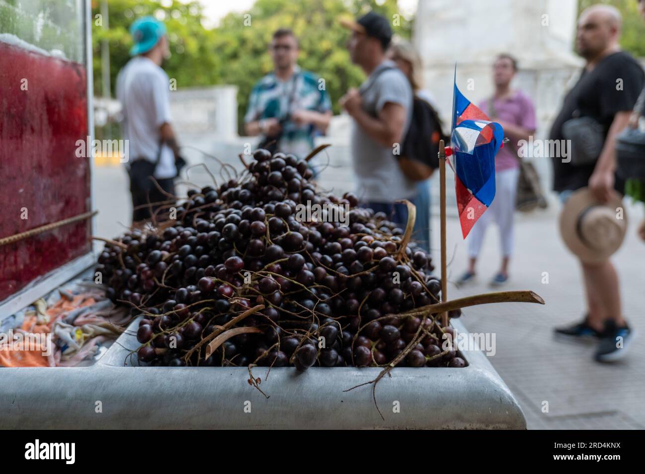Cartagena, Bolivar, Kolumbien – 17. Februar 2023: Touristen sprechen mit einem Haufen Corozo-Früchte (Bactris guineensis), Einer dunkelroten Palmenfrucht Stockfoto