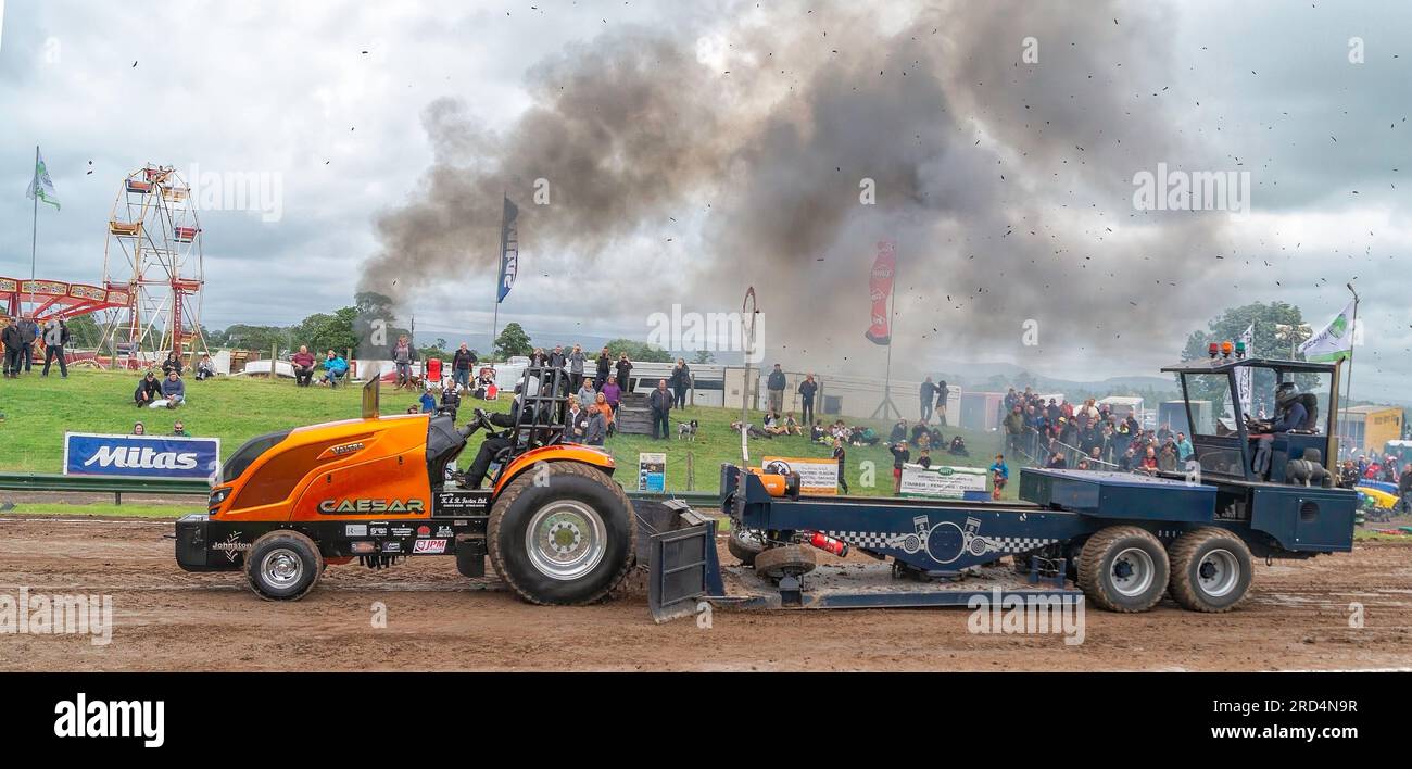 Tractor Pulling Stockfoto
