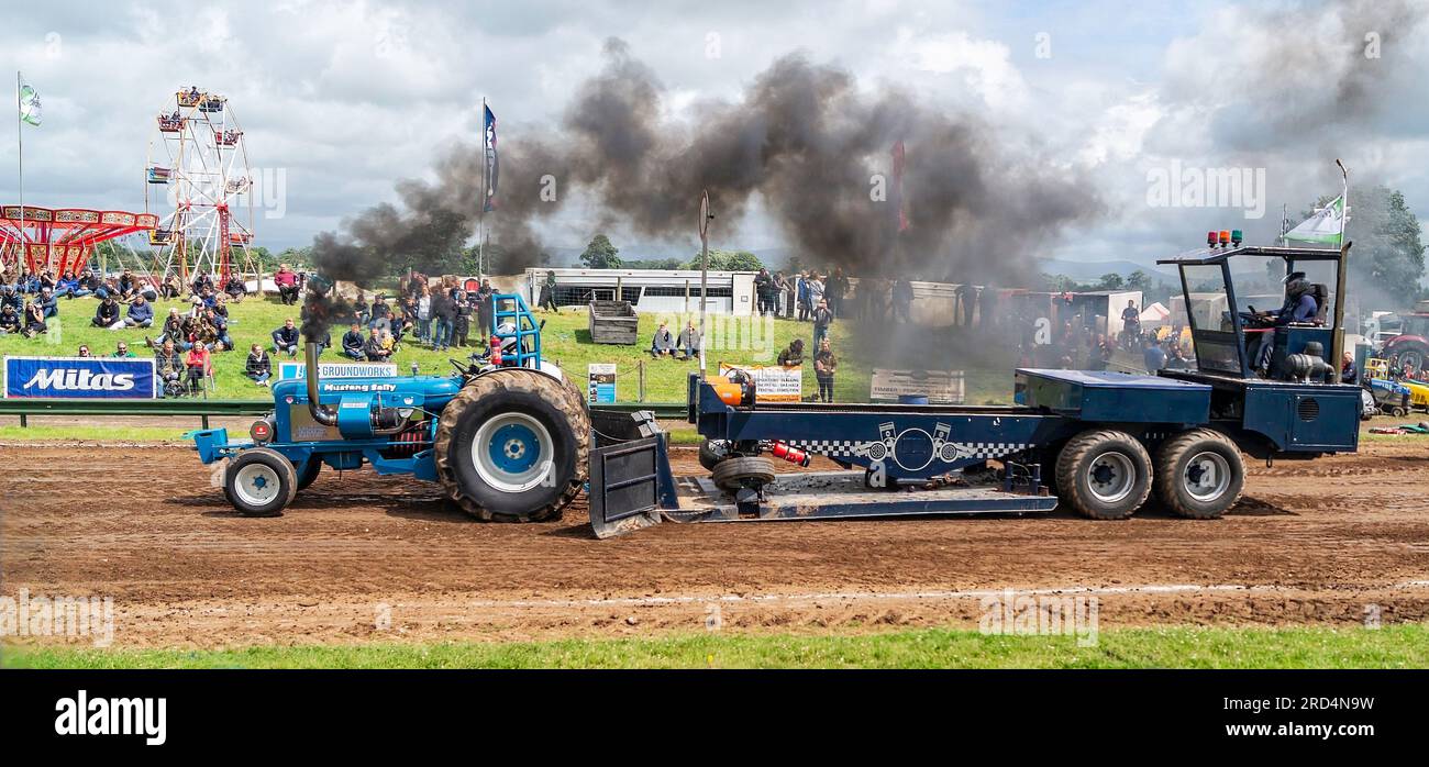 Tractor Pulling Stockfoto