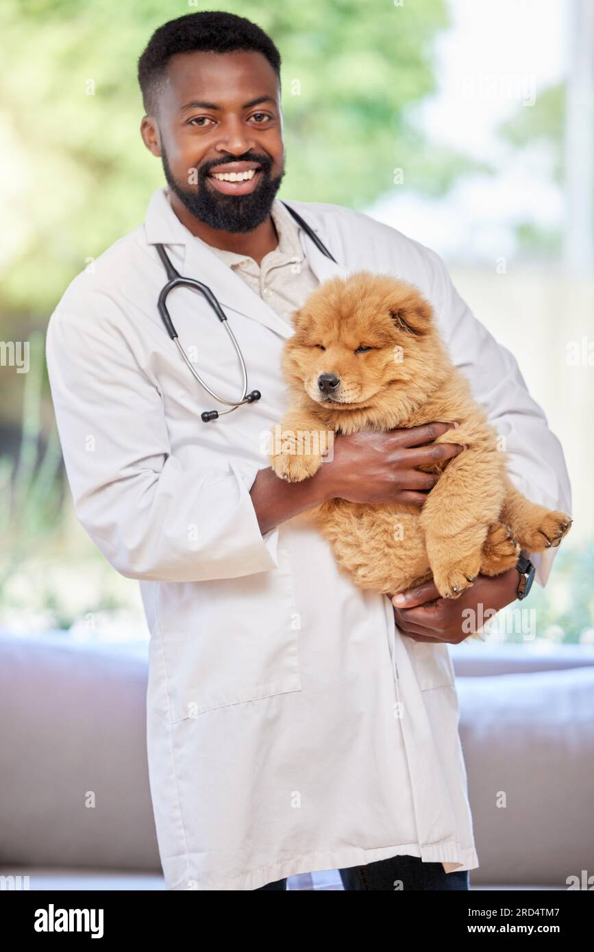 Schwarzer Mann, Tierarzt und Porträt mit Hündchen für Klinik, medizinische und tierische Unterstützung mit einem Lächeln. Glücklicher afrikanischer männlicher und tierärztlicher Angestellter mit Stockfoto