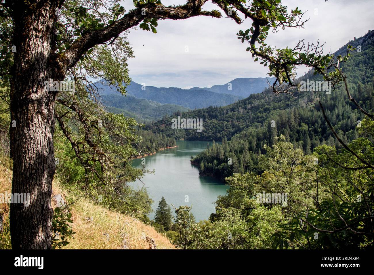 McCloud River vom Samwell Cave Trail. Stockfoto
