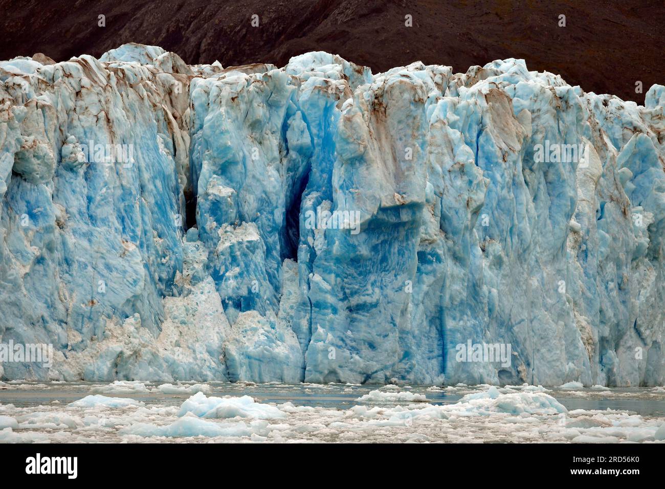 Die Gletscherzunge kälbt in den Pazifik, den Columbia-Gletscher, den Prince William Sound, Alaska, USA Stockfoto