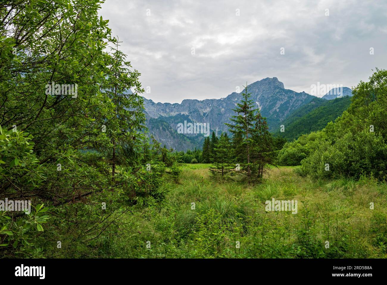 Totes Gebirge, nördliche Kalksteinalpen, aus der Nähe von Almsee, Gruenau, Almtal, Salzkammergut, Oberösterreich, Österreich Stockfoto