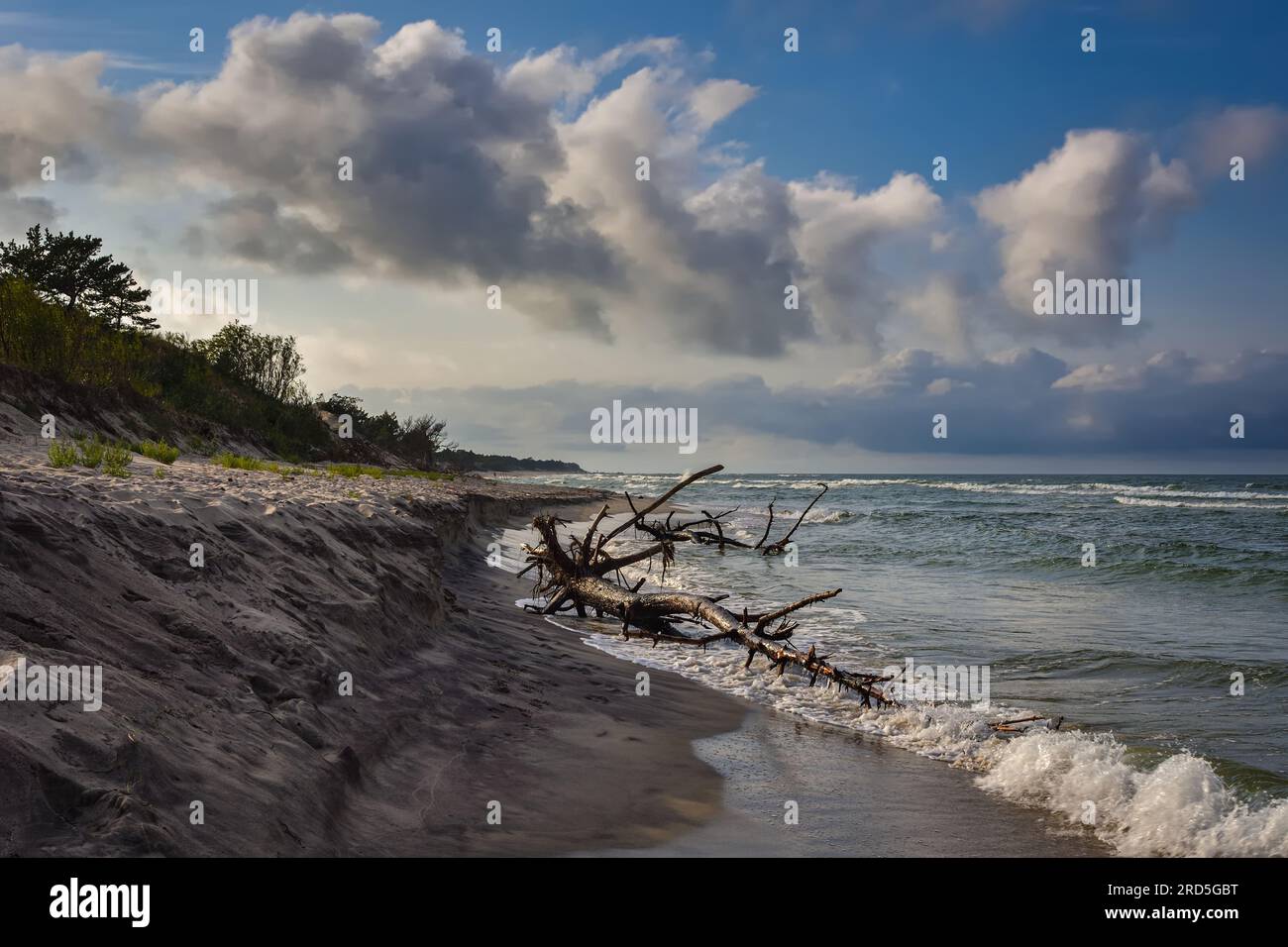 Wunderschöne Urlaubslandschaft an der polnischen Ostsee. Sandstrand und Wolken auf blauem Hintergrund im Urlaubskonzept. Stockfoto